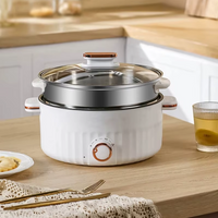 Portable Electric Cooker